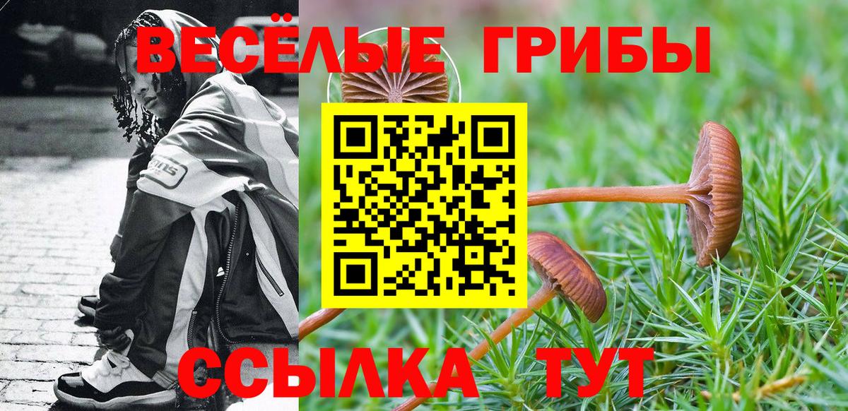 Красноярск  закладка  Вход с VPN  Псилоцибиновые грибы Psilocybine cubensis 